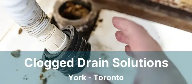 Clogged Drain Solutions York - Toronto
