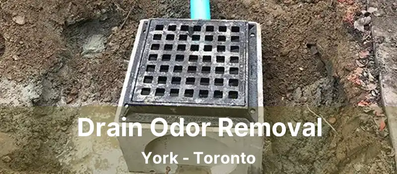  Drain Odor Removal York - Toronto