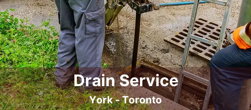  Drain Service York - Toronto